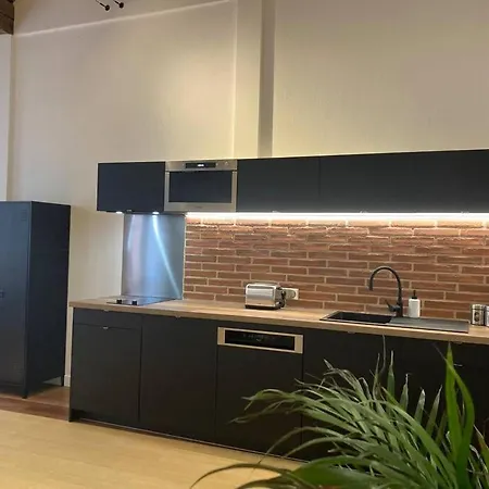 Centre Historique Albi